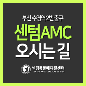  [오시는 길] 부산 외과 전문 동물병원, 센텀동물메디컬센터