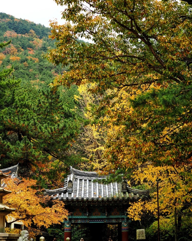  가을 조바심