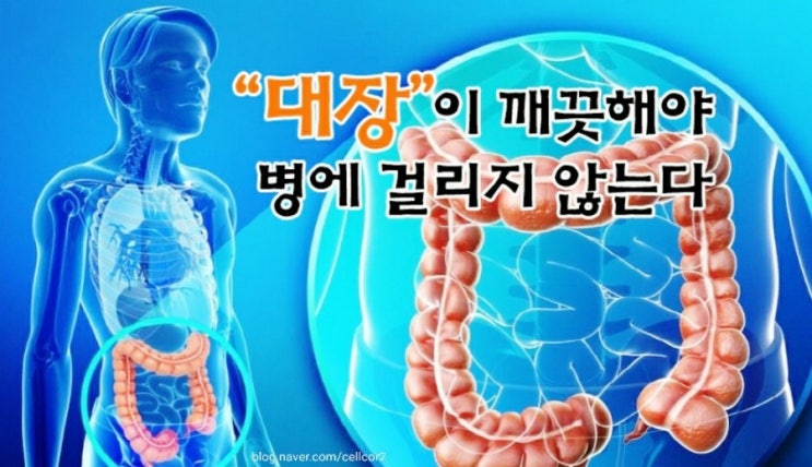 대장이 깨끗해야 병에 걸리지 않는다