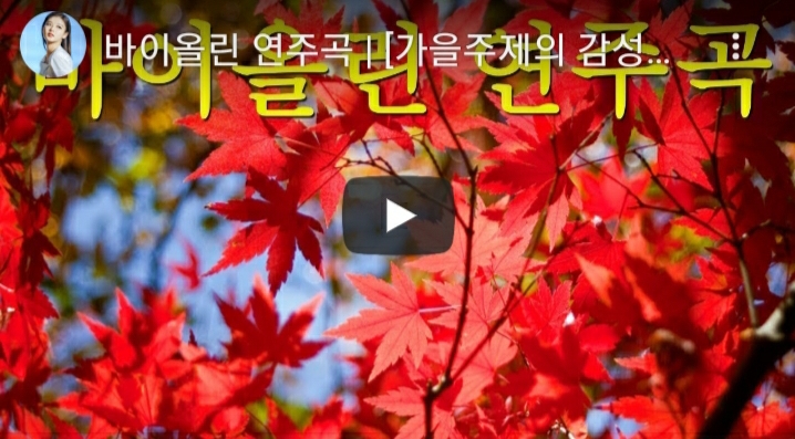  가을 주제의 바이올린 연주. 선곡이 너무 좋아 공유해요