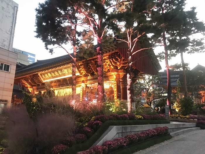  조계사, 핑크뮬리 가득한 도심 속 가을 풍경