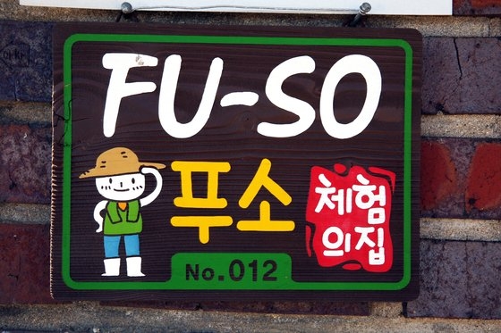 아침저녁 먹여주고 반찬 20개… ‘강진 1주일 살기’ 대박 비결 아침저녁 먹여주고 반찬 20개… ‘강진 1주일 살기’ 대박 비결