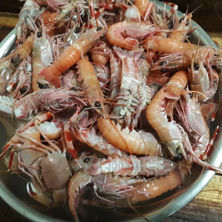  돌돔 원투낚시 돌돔미끼 딱새우미끼 요건 몰랐지