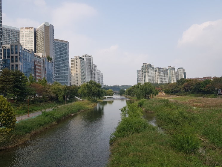 분당 탄천 자전거길, 철새 구경하며 정자역에서 분당구청까지 산책~