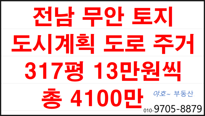 전남 무안 바닷가 동네 주택지 317평 공시가격이하 13만원 총4100만원 부동산 토지 투자 땅 매매 맛집 낚지 가볼만한곳 전남 ...