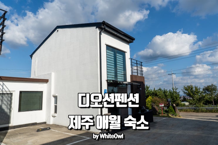  제주도 커플펜션 디오션 독채숙소 복층으로 힐링하기