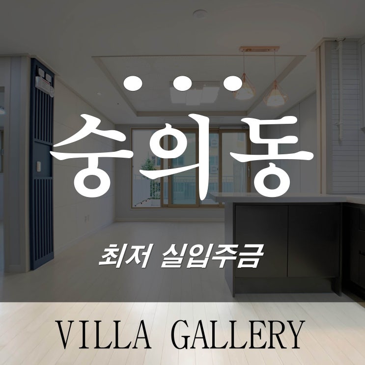  숭의동신축빌라 다온시티 왕테라스 단독사용 가능!!