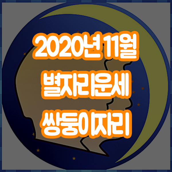  2020년 11월 별자리운세 쌍둥이자리 산수도인