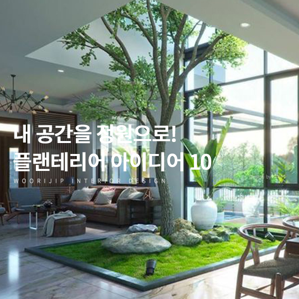  내 공간을 정원으로! 플랜테리어 식물 인테리어를 위한 아이디어 10 (feat 코로나19인테리어변화)
