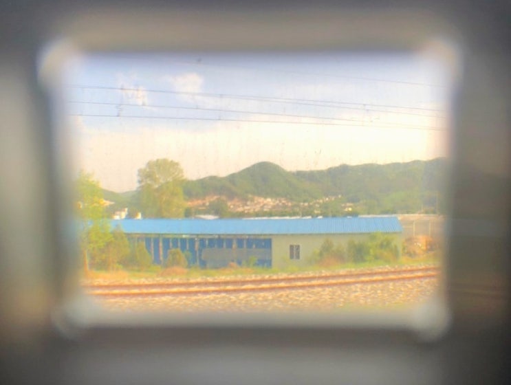  [지난 여행 일기] "내일로 기차 여행"_안동에서의 Day 1/안동역 숙소, 안동 현대찜닭, ACHAGA 젤라또