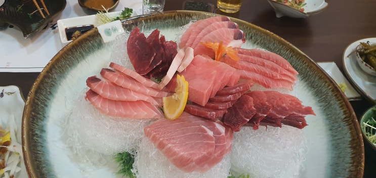  제주 현지인 추천 맛집 솔참치