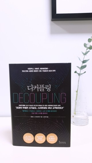  <디커플링>한순간에 시장을 점령한 신흥기업들(넷플릭스, 아마존, 에어비앤비...)의 파괴전략