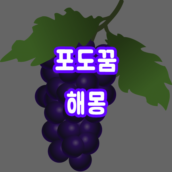  포도꿈 포도따는꿈 포도먹는꿈 해몽