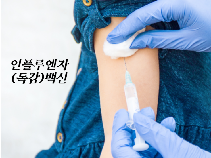  독감 백신 '물량부족??'