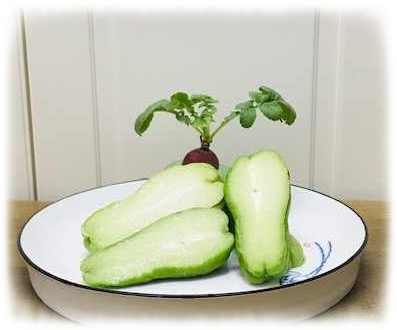  [생강꽃씨네 맛나는 향기 16일째]