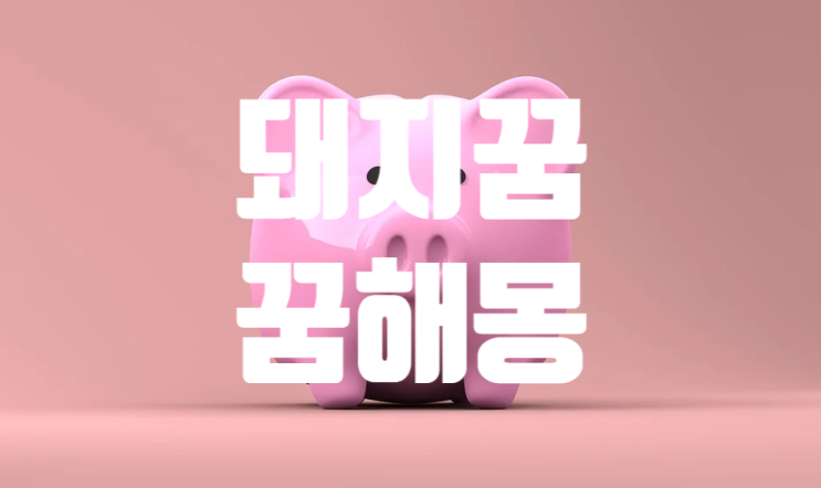  모두가 바라는 그 꿈 돼지꿈 꿈해몽