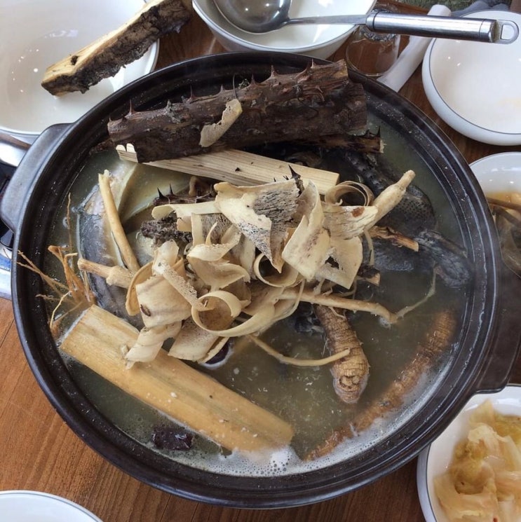 슬쌍디아빠 교단일기 FILE 064 / 용봉탕