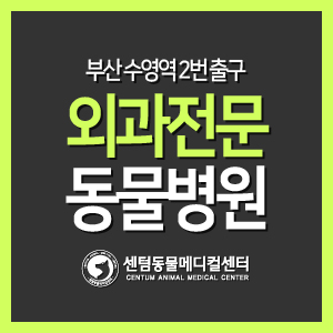 [병원 소개] 부산 외과 전문 동물병원, 센텀동물메디컬센터