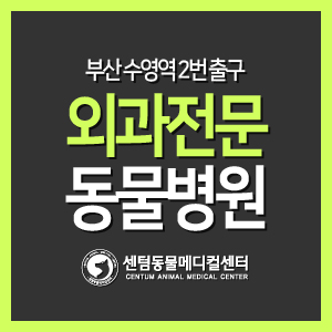  [병원 소개] 부산 외과 전문 동물병원, 센텀동물메디컬센터