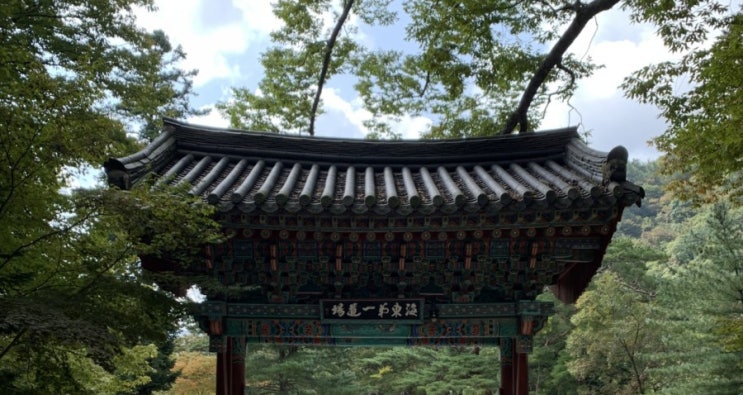  가을 단풍 필수코스, 경남 합천 해인사 | 추억속 팔만대장경, 가족여행지 추천