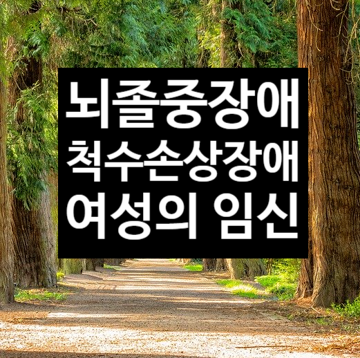  뇌졸중 및 척수 장애인의 임신