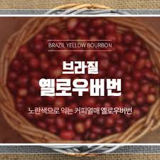 브라질 옐로우 버번 커피, 맛과 특징/ 고소한 맛이 일품인 커피