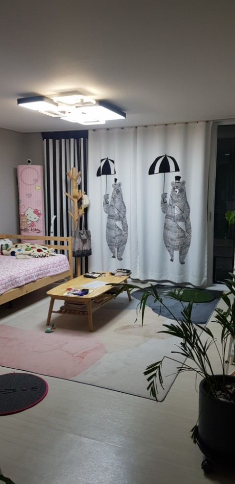  거실러그인테리어 고양이와함께사는집 카페트로거실분위기바꾸기