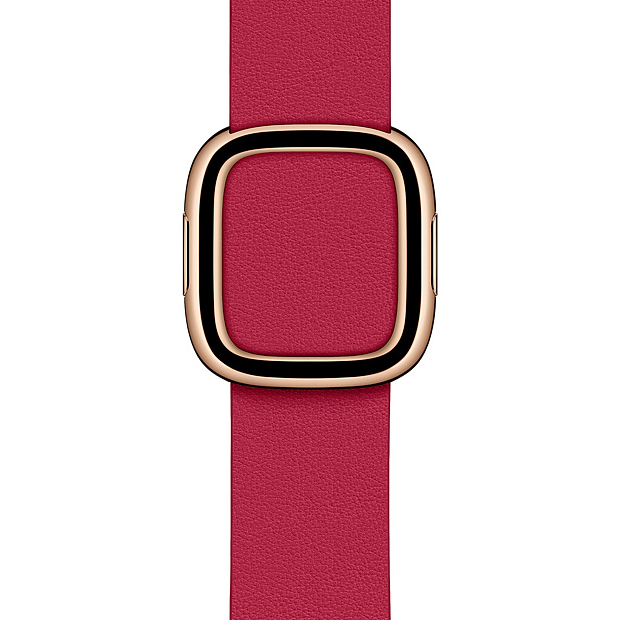 Apple 정품 애플워치 3/4/5 모던 버클 밴드, 38/40mm, Raspberry