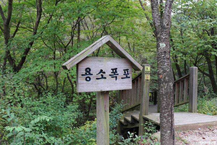 백운산 자연휴양림을 만끽할 수 있는 세 가지 방법, feat. 원주 용수골
