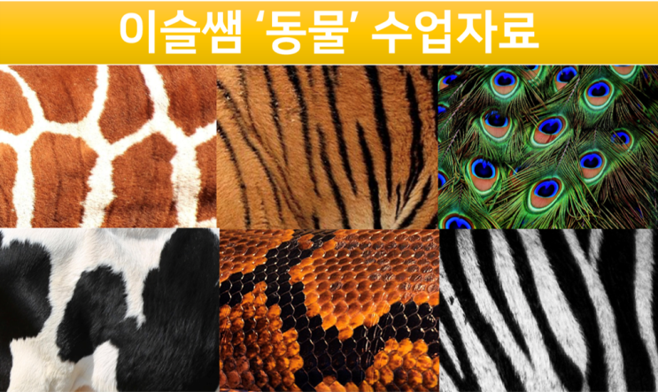[영유아수업자료]동물-여러 가지 동물무늬, 동물무늬 끼적이기판