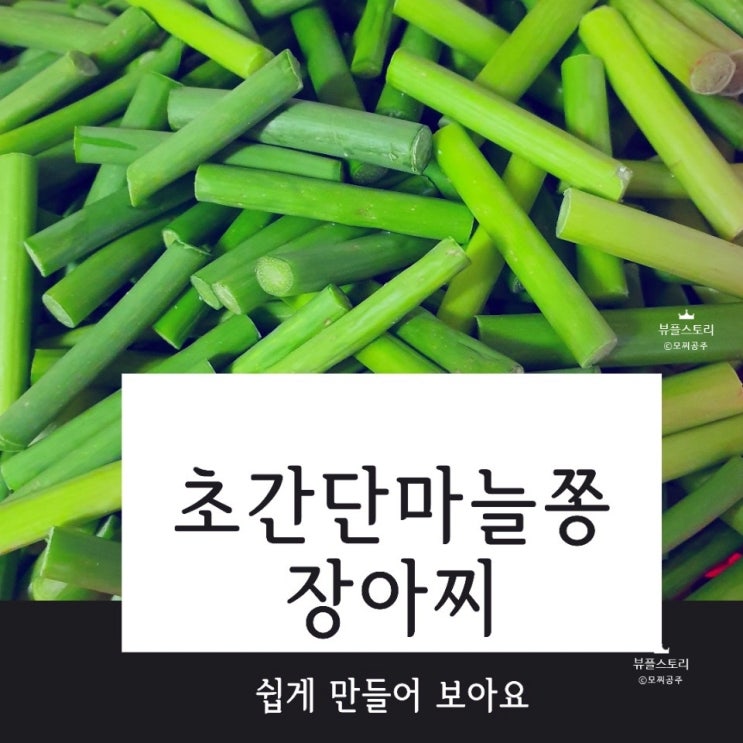  초간단 마늘쫑 장아찌 쉽고 간단하게 만들어보았어요