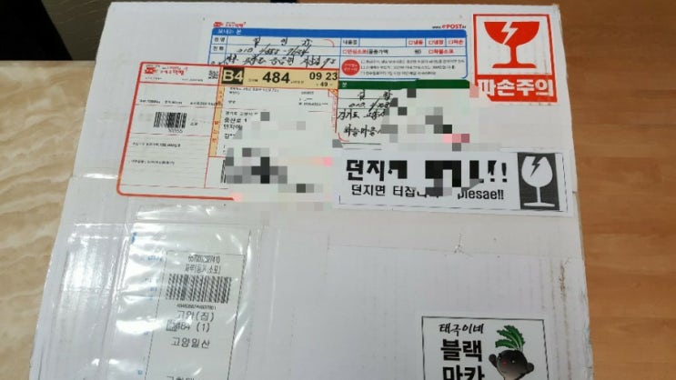 애통터진다 애통터진다