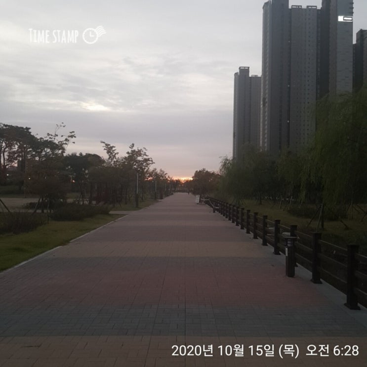  [송도 부자아빠 미친 100일 - 48일차] 걷기와생각정리, 생각 산책