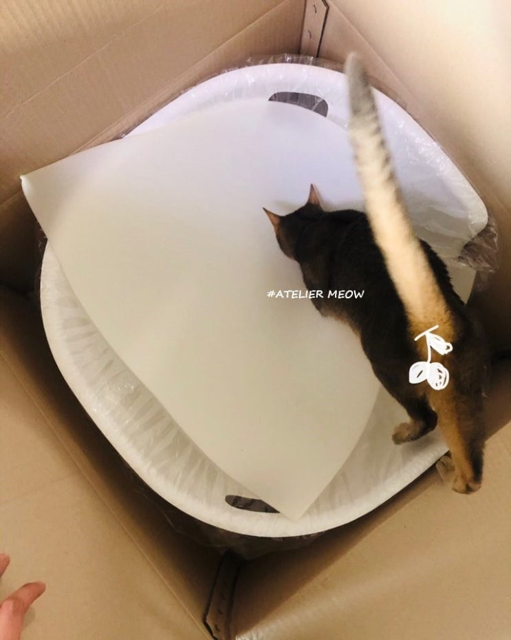  [내돈내산] 고양이 화장실 추천 / 고양이 대형 화장실 추천 / 수의사 김명철 쌤이 만든 고양이 화장실! ㅁㅊ화장실-그라운드360 후기