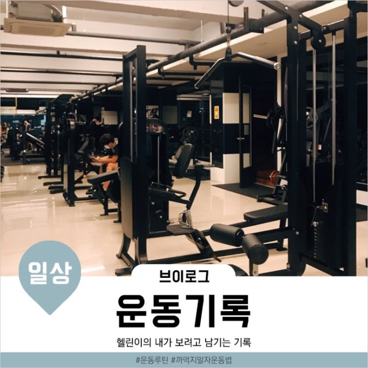  [일상]헬린이 팔운동 기록