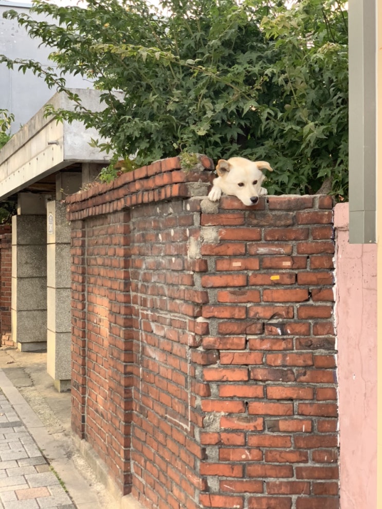 아이스크림 병법 - 열 일하는 홍보팀 아이스크림 병법 - 열 일하는 홍보팀