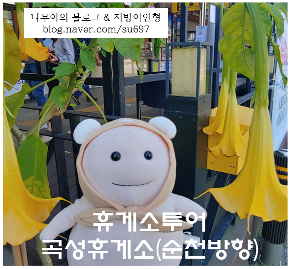 [휴게소 투어] 곡성기차마을휴게소 고인돌 공원