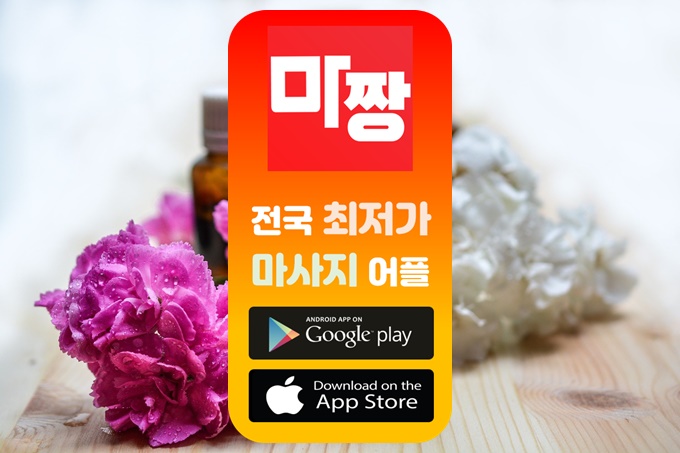  마사지 나비야넷 마짱 어디로 이용하세요?