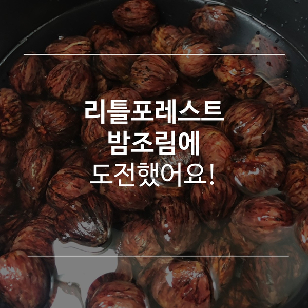  [후기] 자취생 리틀포레스트 밤조림 만들기 도전!