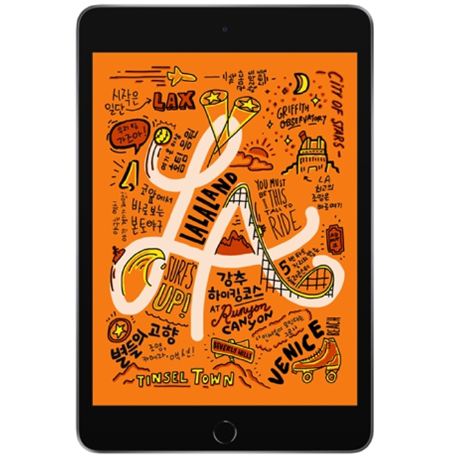  Apple 2019년 iPad mini 5세대, Wi-Fi+Cellular, 256GB, Space Gray