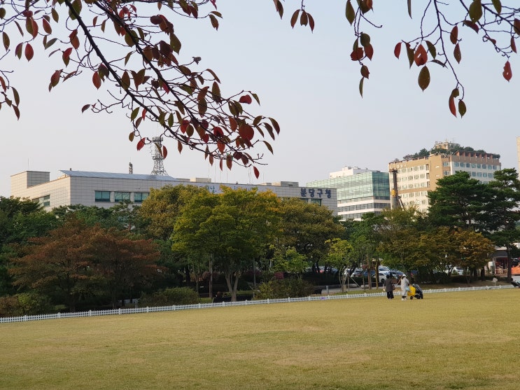  성남 가볼만한 곳, 분당구청 앞 '성남 문화의 거리' 걸어보기