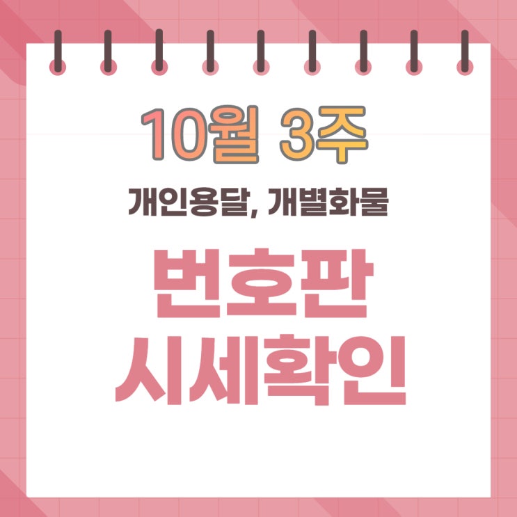  10월3주 노란번호판 시세확인