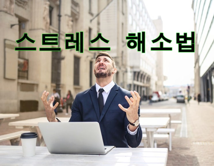  스트레스 해소법