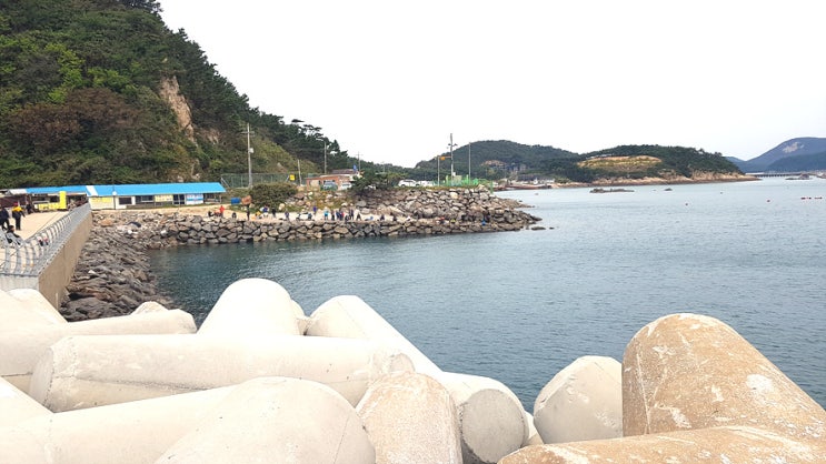 태안 마도 방파제 낚시 풍경, 윤가네 바다짬뽕 태안 마도 방파제 낚시 풍경, 윤가네 바다짬뽕