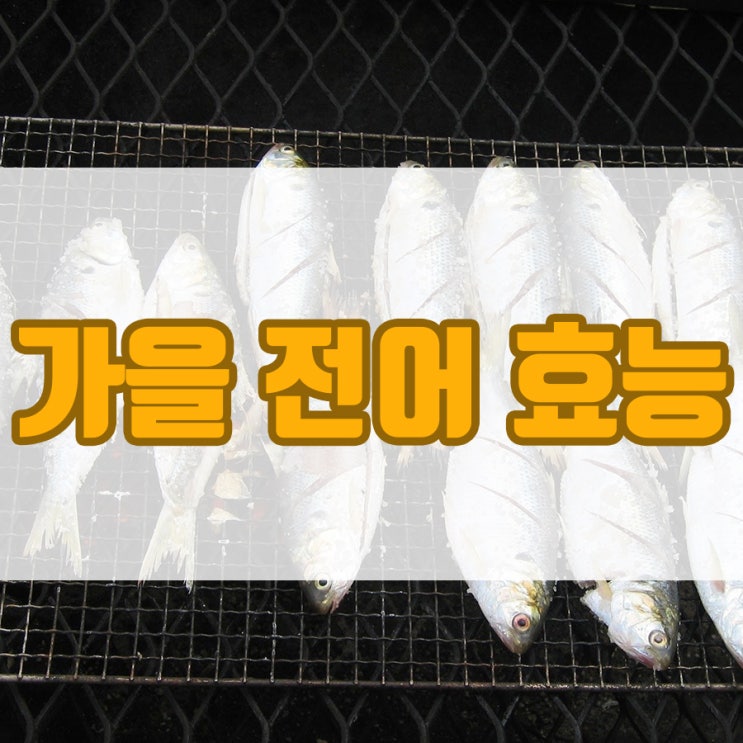  가을 전어 효능 뭐가 있을까요?