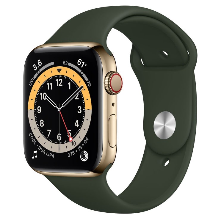 Apple 2020년 애플워치 6 GPS + 셀룰러 44mm 레귤러, 골드 스테인리스 스틸(케이스), 사이프러스 그린(스포츠 밴드)