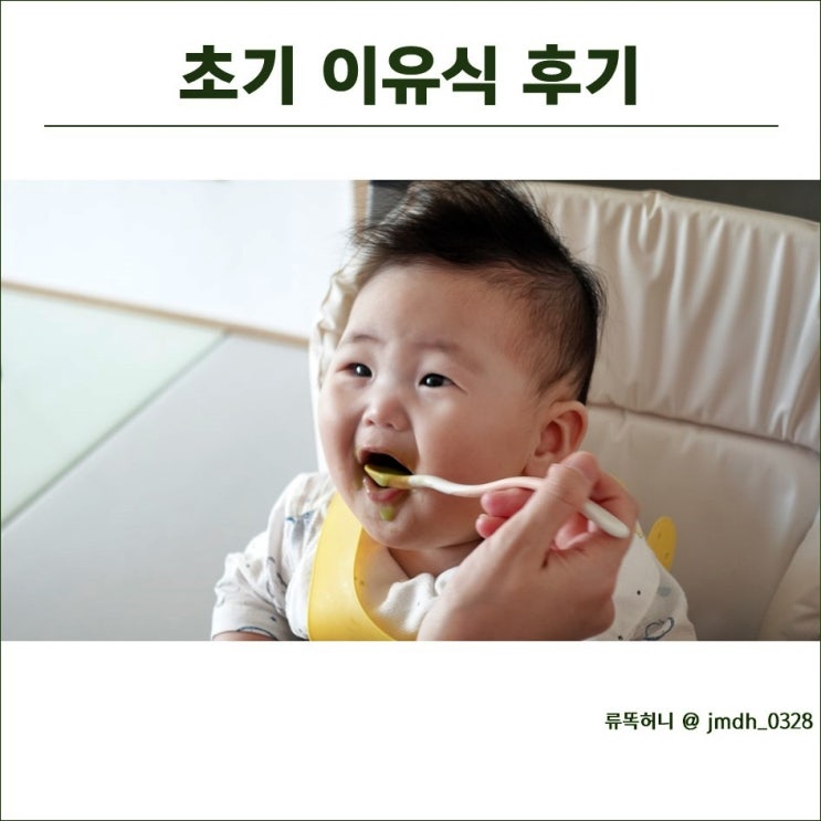  초기이유식 후기 (식단표, 준비물 추천/비추천)
