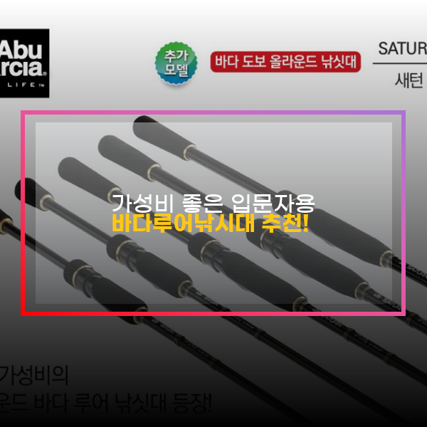  바다 루어낚시대 추천! 가성비 좋은 입문자용! + 리뷰
