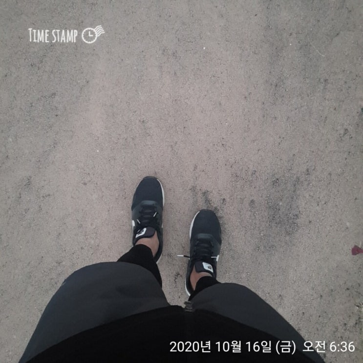  [송도 부자아빠 미친 100일 - 49일차]  방향과 루틴