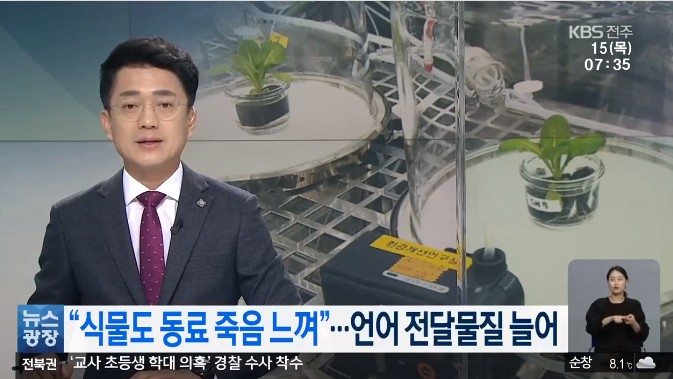“식물도 동료 죽음 느껴”…언어 전달물질 늘어 “식물도 동료 죽음 느껴”…언어 전달물질 늘어